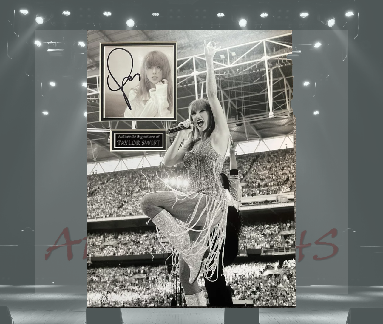 Taylor Swift Signed Mounted Display Presentation