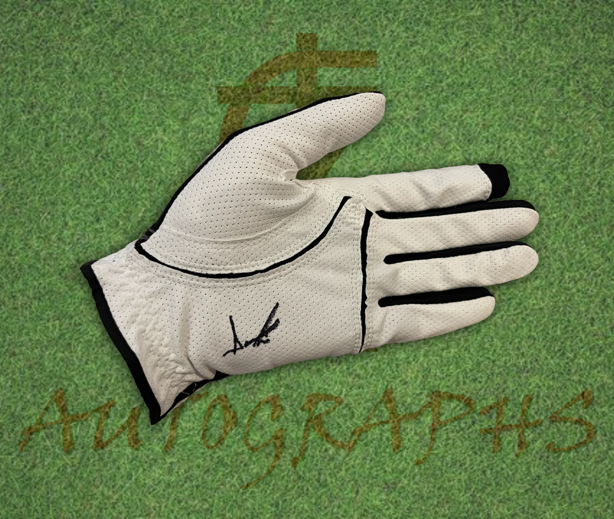 Aaron Rai Signed Golf Glove 3