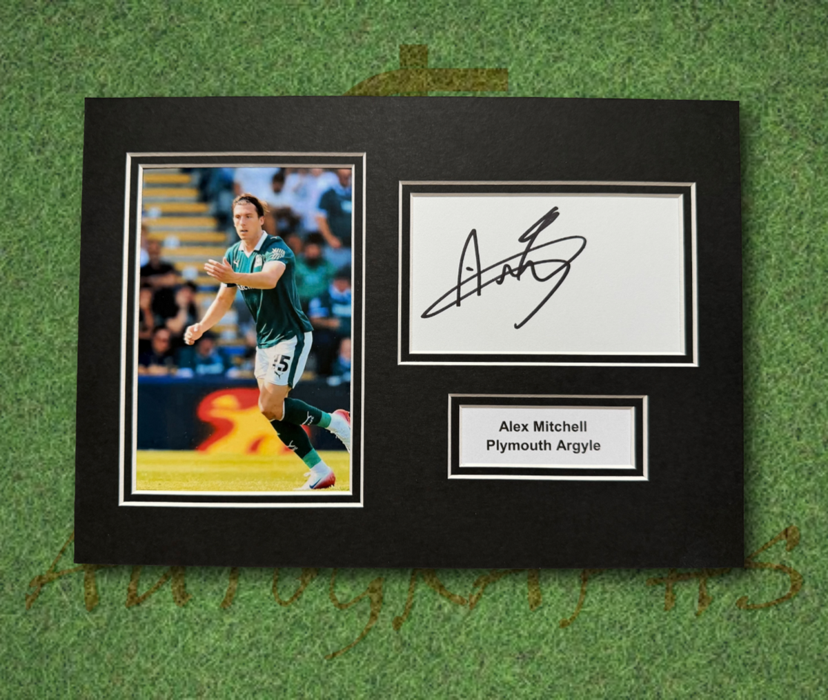 Alex Mitchell Plymouth Argyle Signed Presentation Mount Display-ZCL Autographs