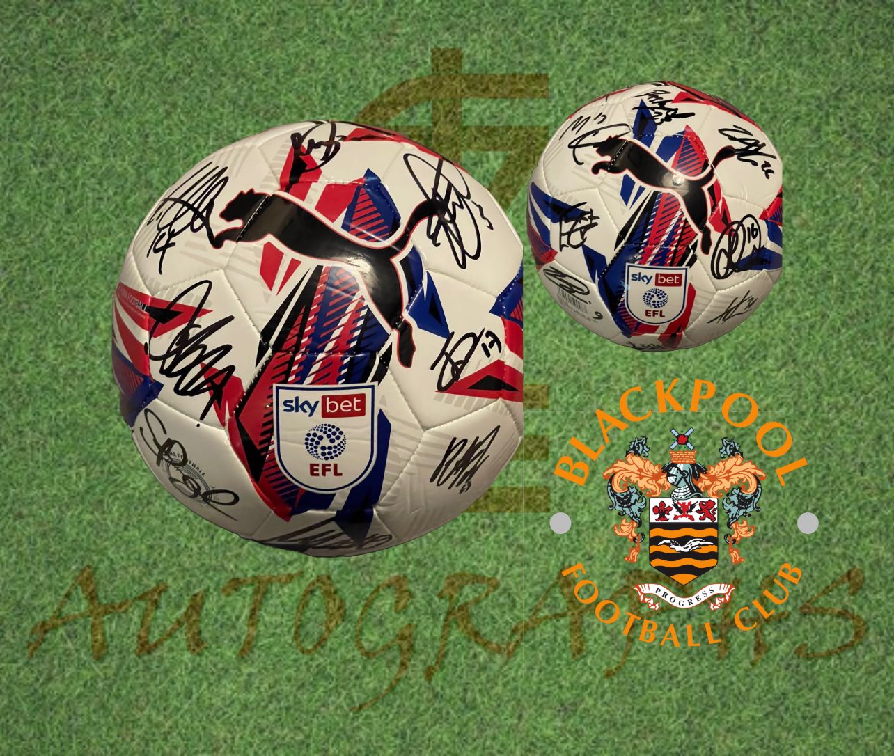Blackpool Signed Replica EFL Football-ZCL Autographs-ZCL Autographs