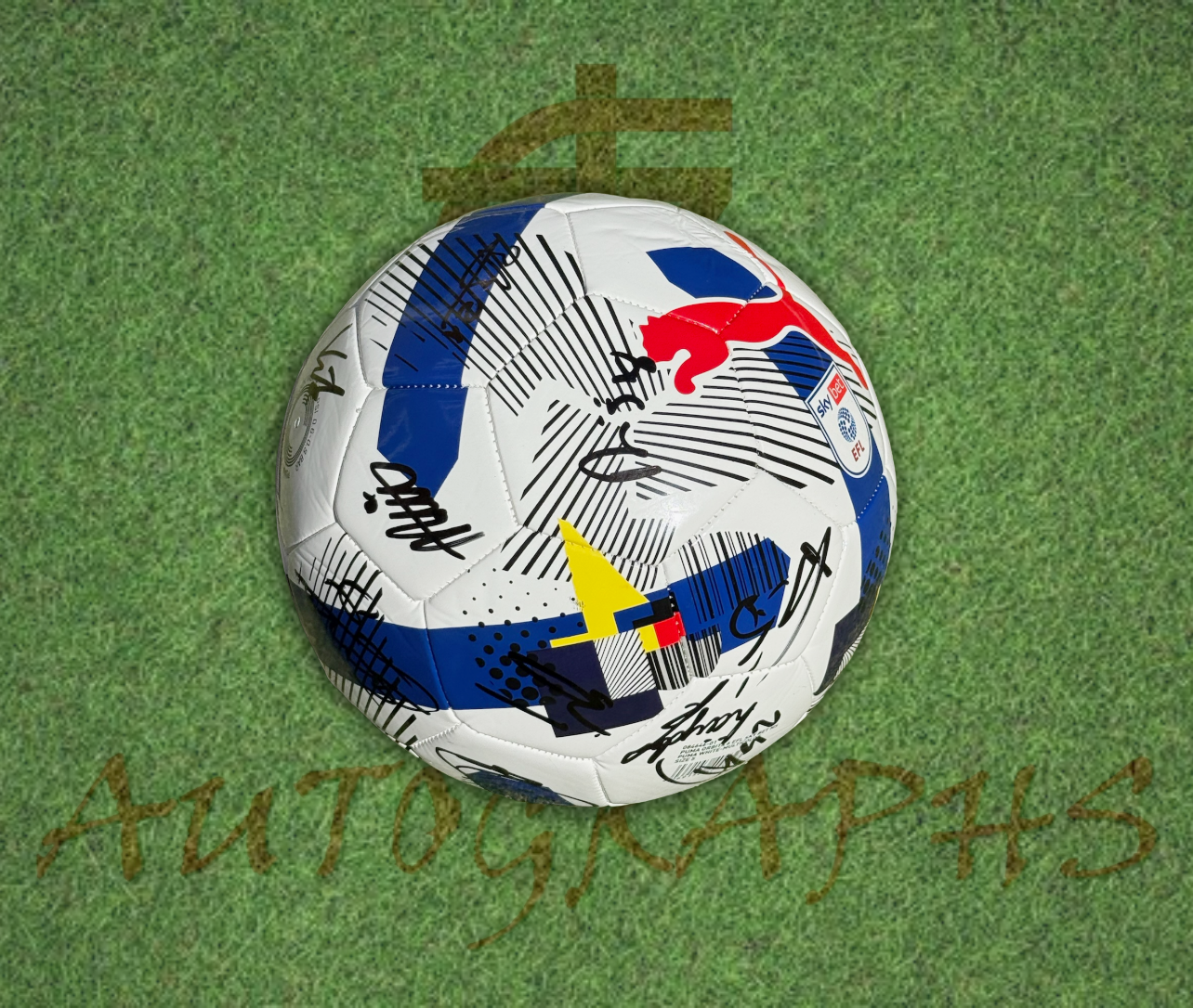 Bristol City Signed Replica EFL Football-ZCL Autographs-ZCL Autographs