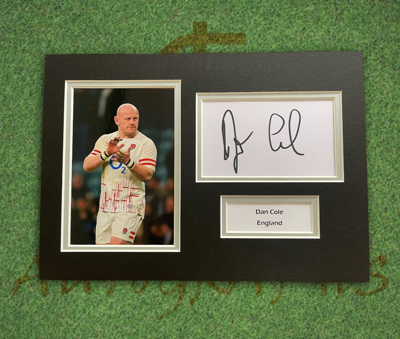 Dan Cole England Rugby Signed Presentation Mount Display-Signed Presentation Display-ZCL Autographs-ZCL Autographs