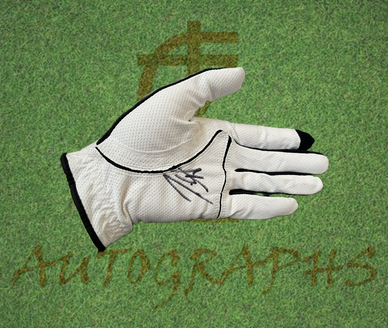Danny Willett Signed Golf Glove-ZCL Autographs-ZCL Autographs