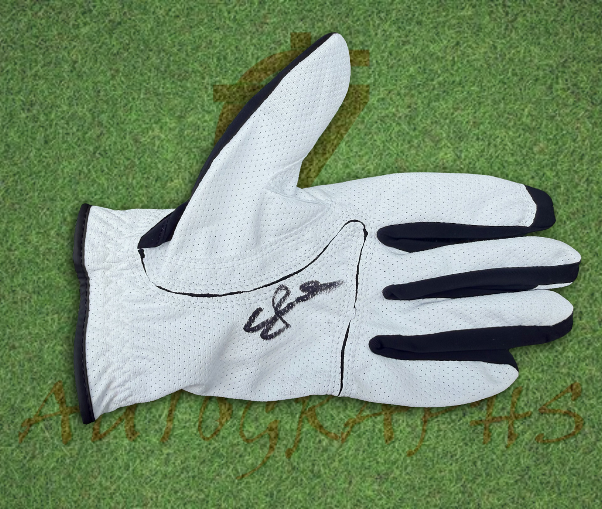 Eddie Pepperell Signed Golf Glove 2