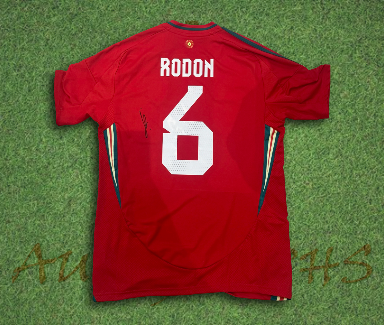 Joe Rodon Wales Signed 2024/25 Football Home Shirt 2