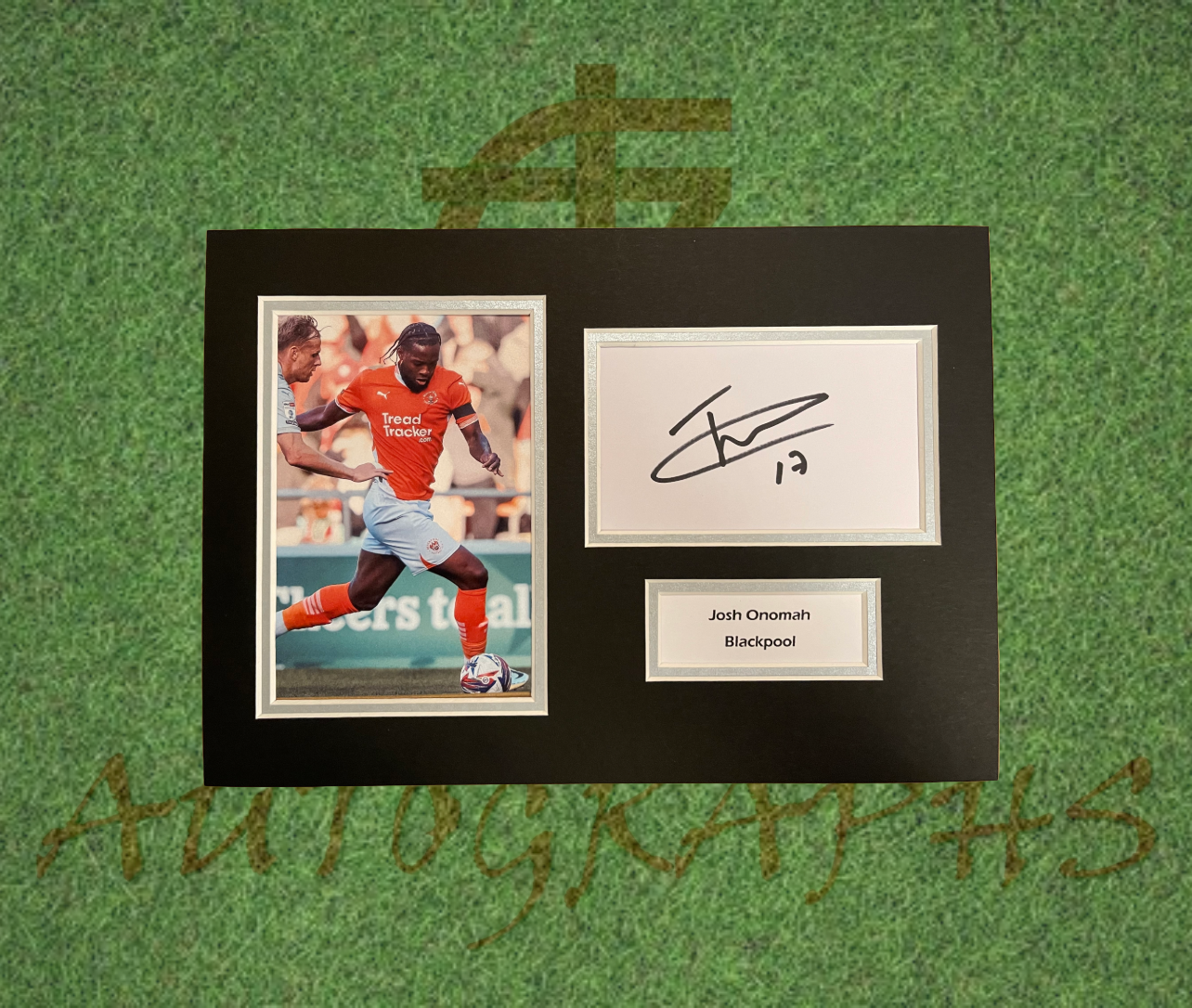 Josh Onomah Blackpool Signed Presentation Mount Display-Signed Presentation Display-ZCL Autographs-ZCL Autographs