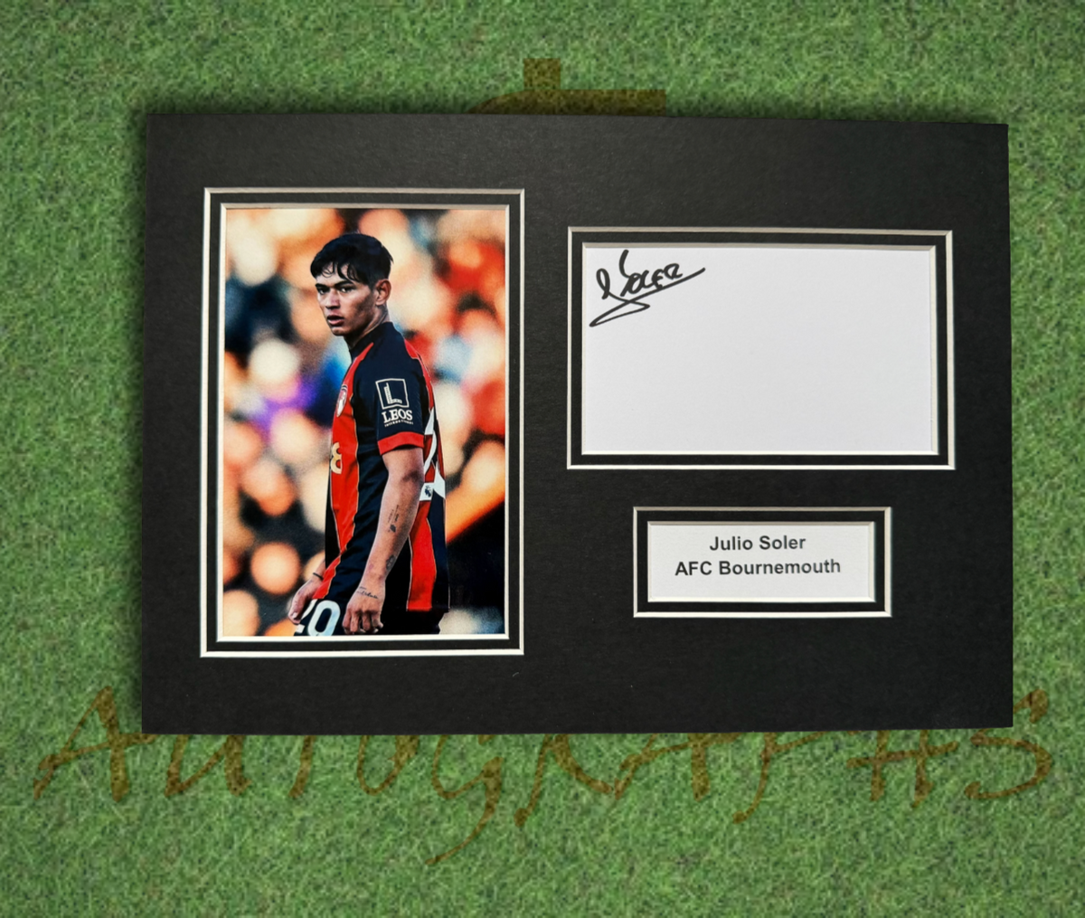 Julio Soler AFC Bournemouth Signed Presentation Mount Display-ZCL Autographs