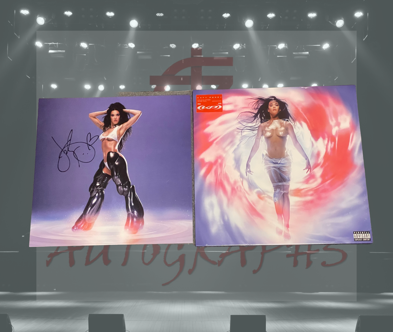 Katy Perry Signed 143 Vinyl and 12x12 Art card-Signed vinyl-ZCL Autographs-ZCL Autographs