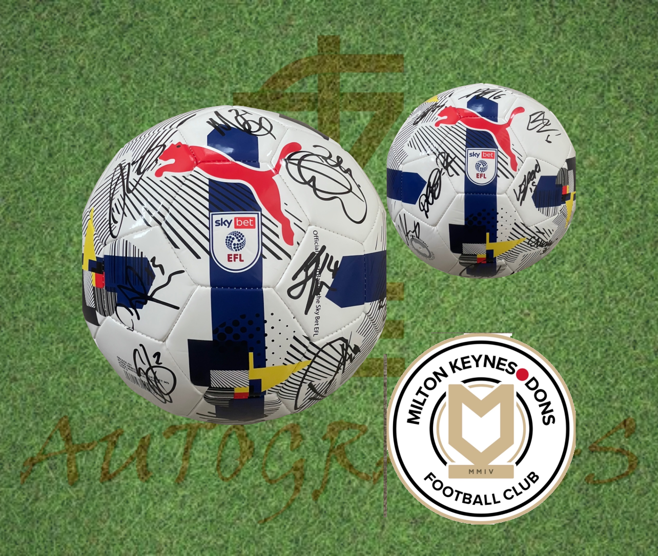 Milton Keynes Dons (MK Dons) Signed Replica EFL Football 2025/26-ZCL Autographs
