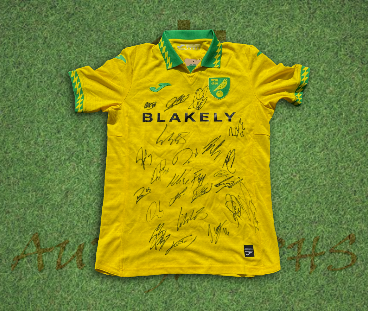 Norwich City Football Club 2025/26 Signed Home Shirt 2