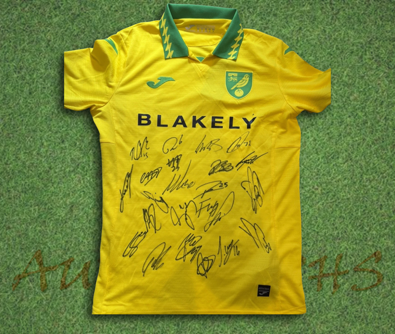 Norwich City Football Club 2025/26 Signed Home Shirt 3