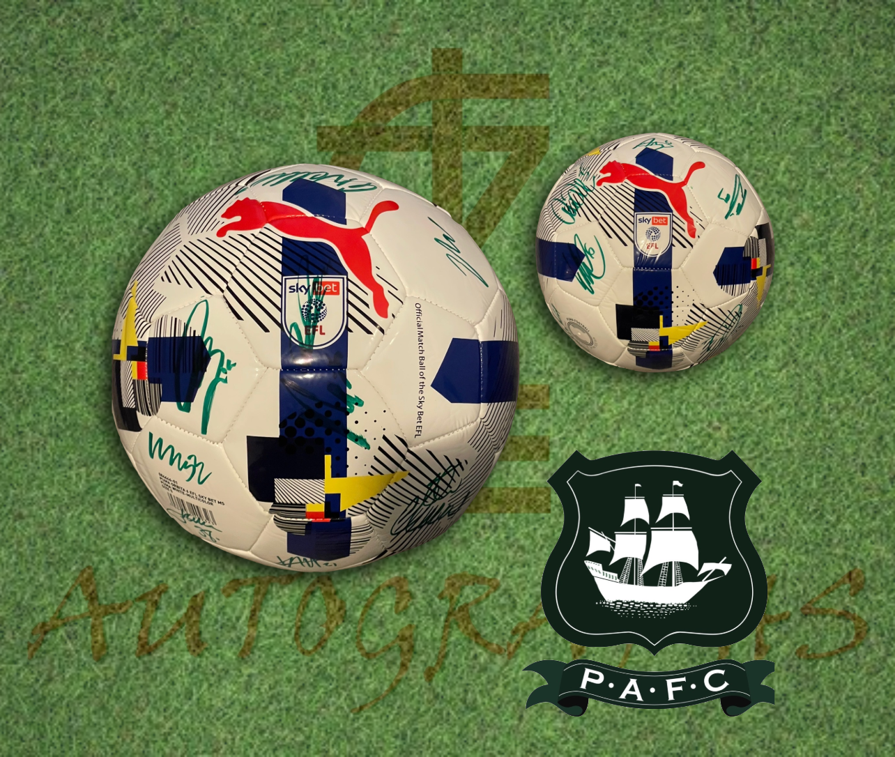 Plymouth Argyle Signed Replica EFL Football 2025/26