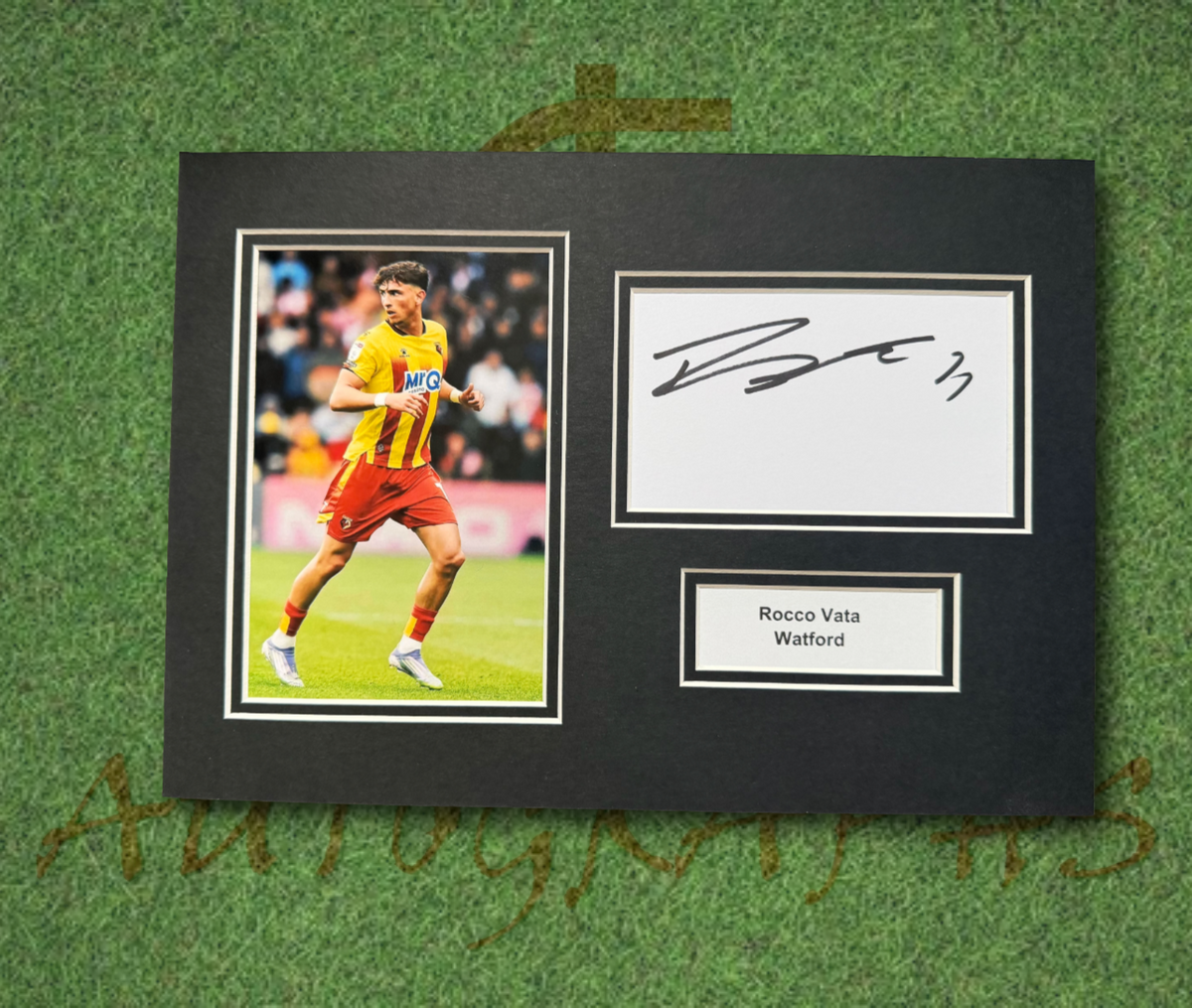 Rocco Vata Watford Signed Presentation Mount Display-ZCL Autographs