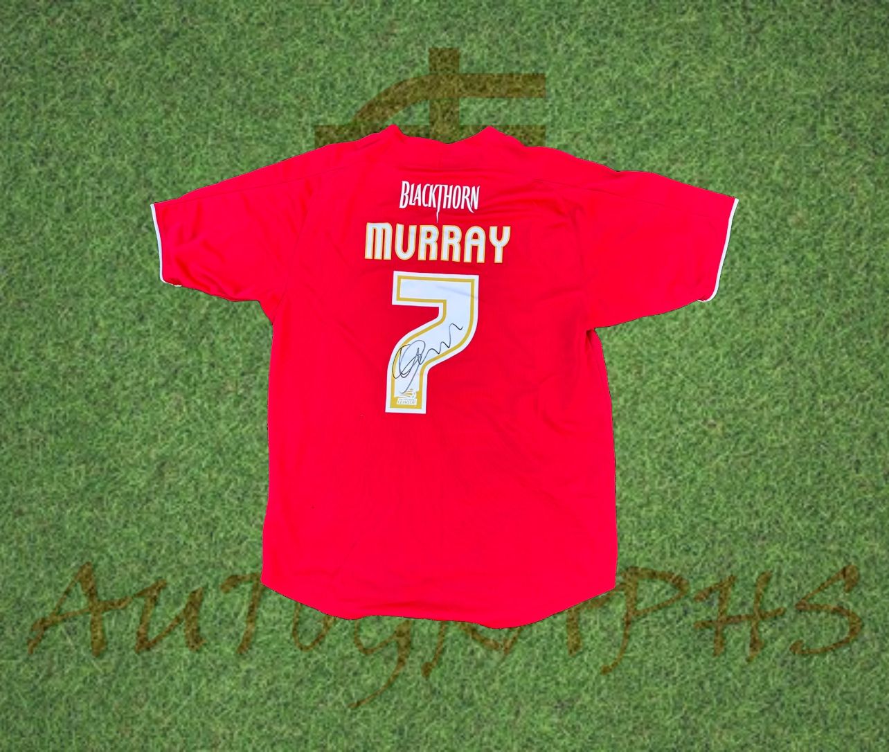 Scott Murray Signed Bristol City 2008/09 Home Shirt-Signed Shirt-ZCL Autographs-ZCL Autographs