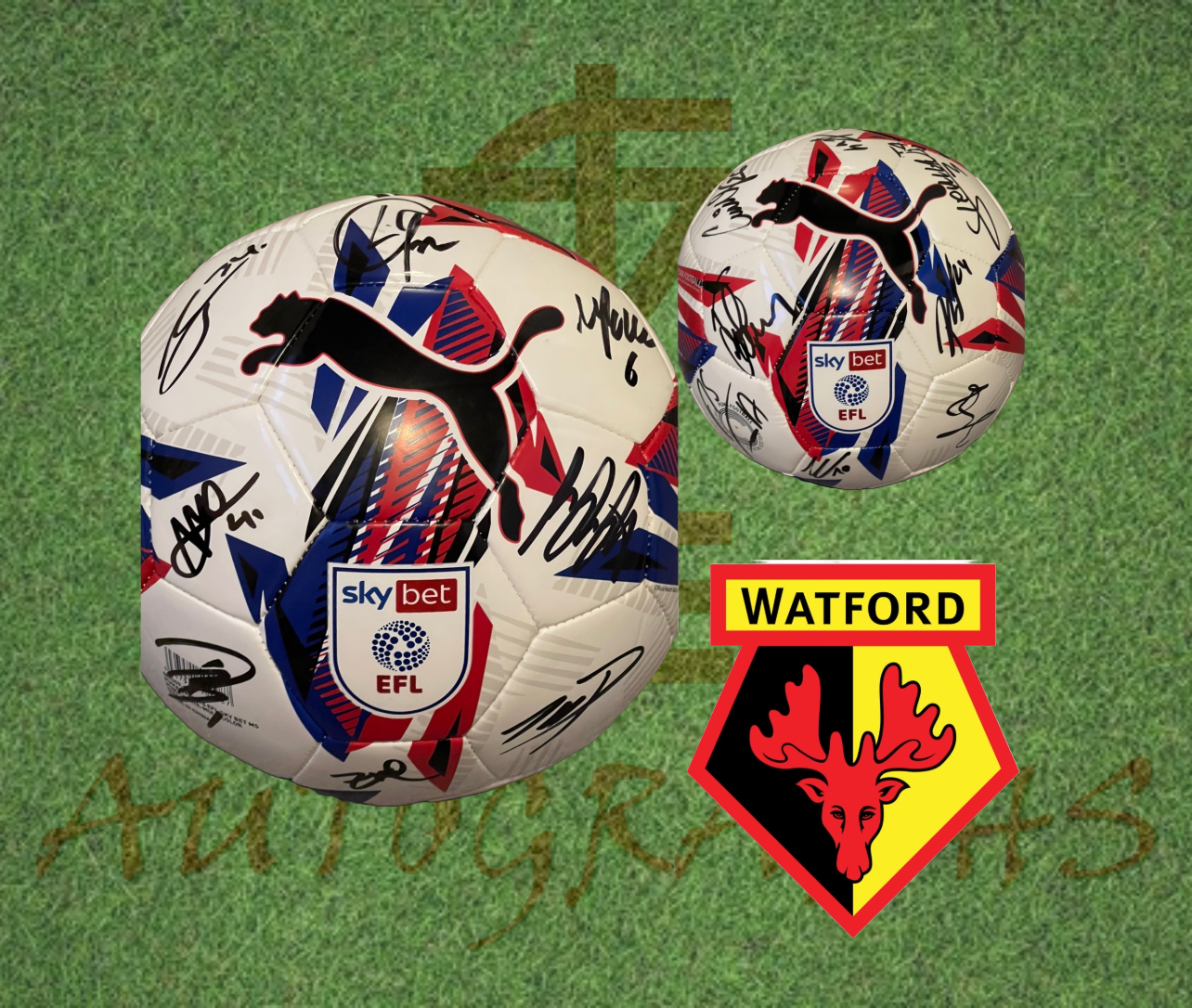 Watford Football Club Signed Replica EFL Football-ZCL Autographs-ZCL Autographs