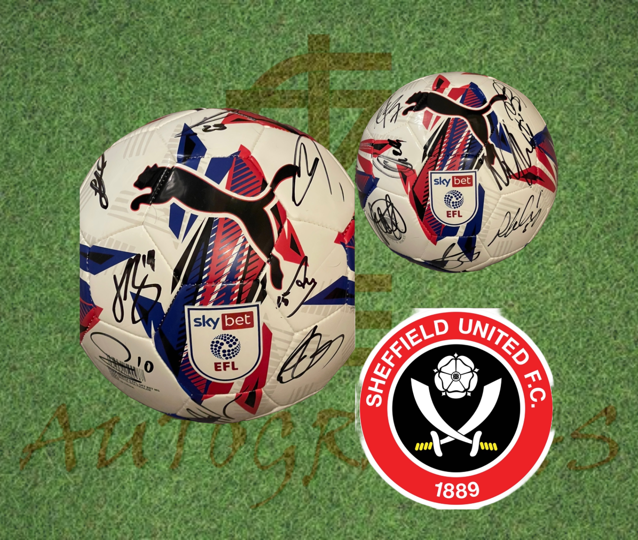 Sheffield United Signed Replica EFL Football 2024/25 Squad Signed