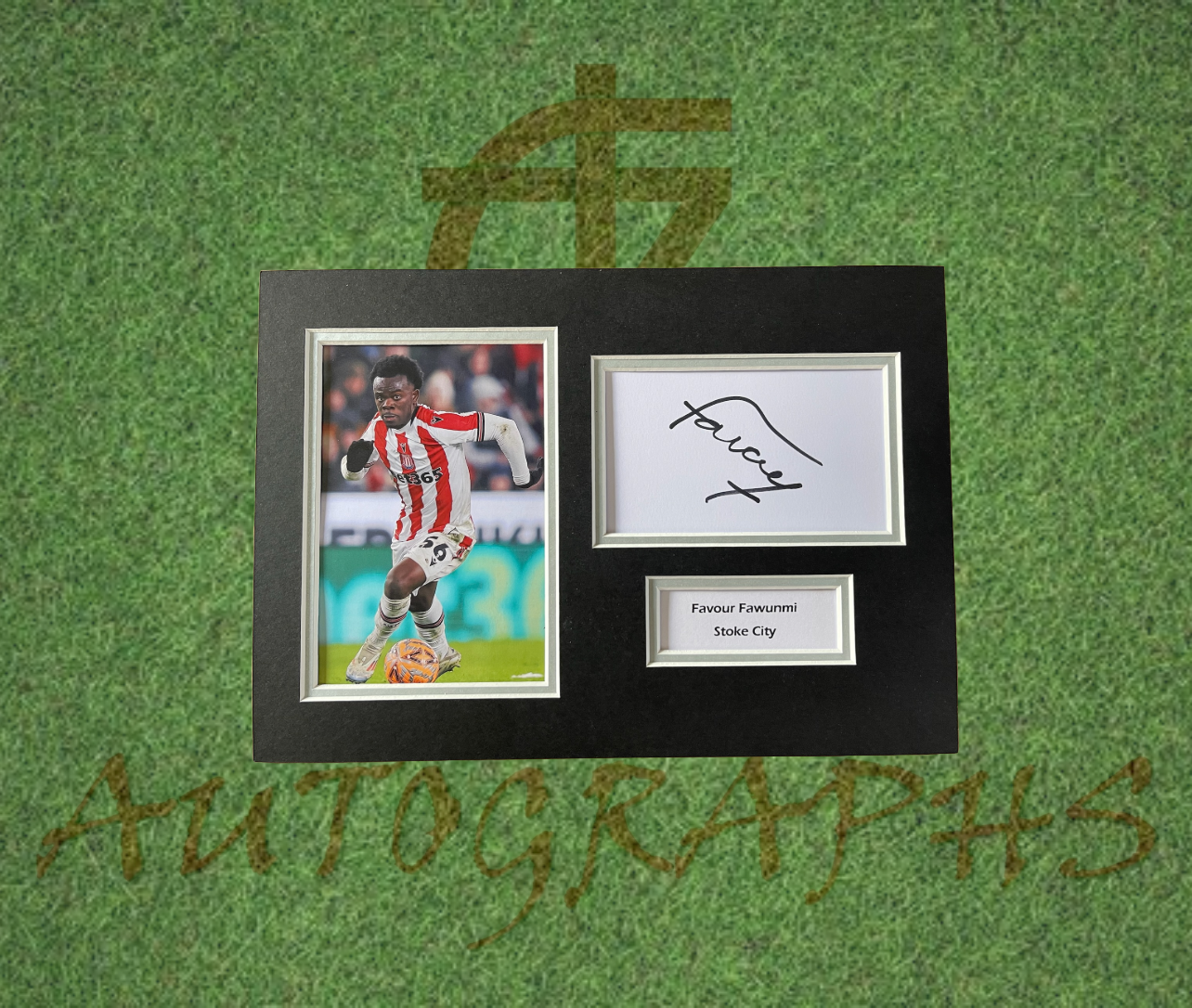 Favour Fawumni Stoke City Football Club Signed Presentation Mount Display