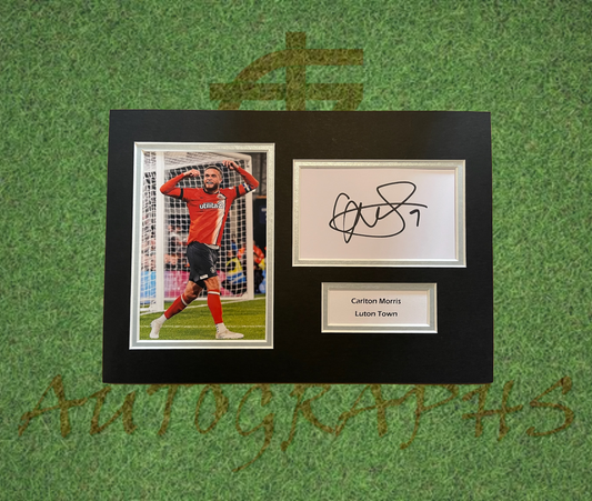 Carlton Morris Luton Town Football Club Signed Presentation Mount Display