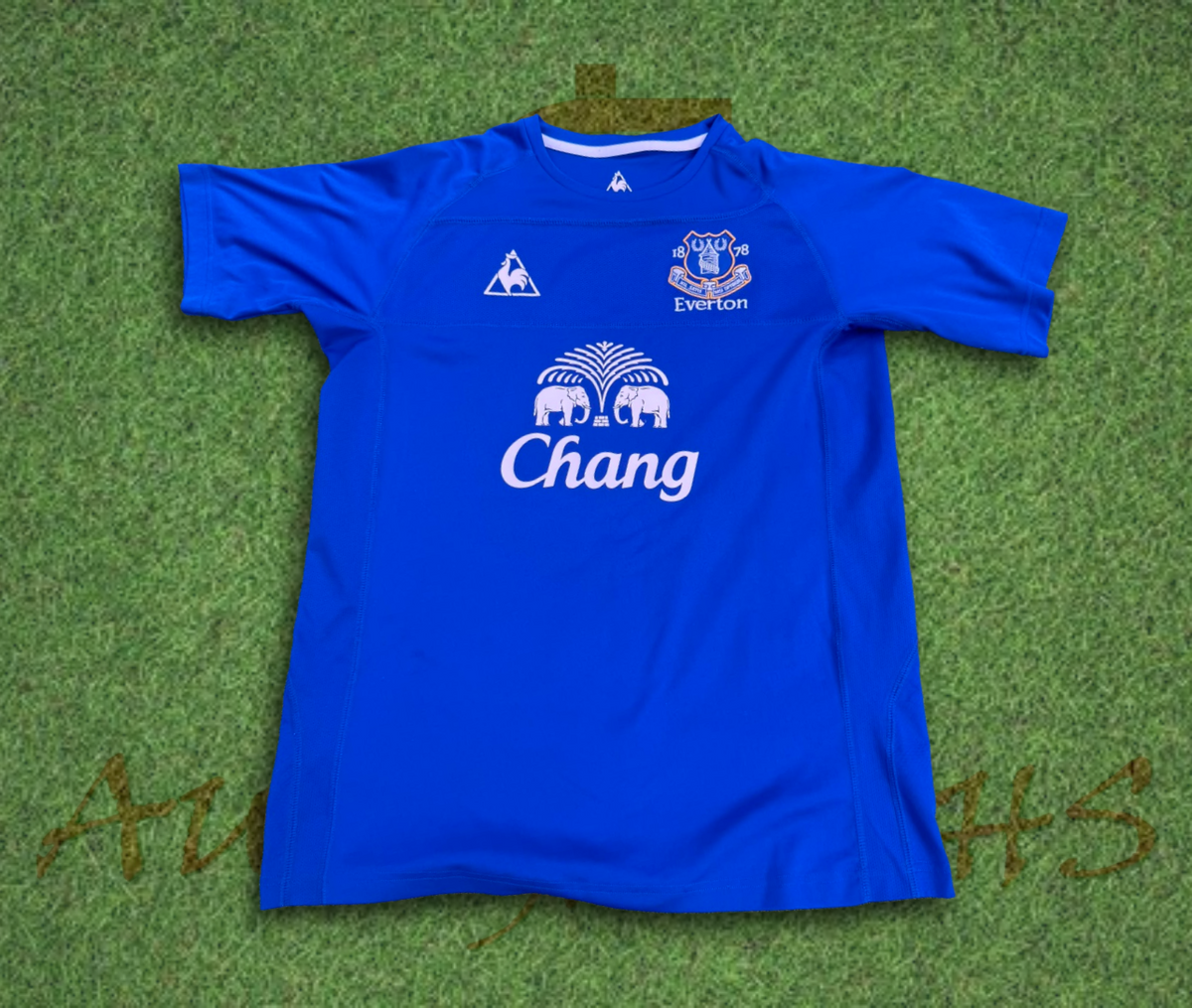 Phil Jagielka Everton Football Club 2010/11 Home Shirt