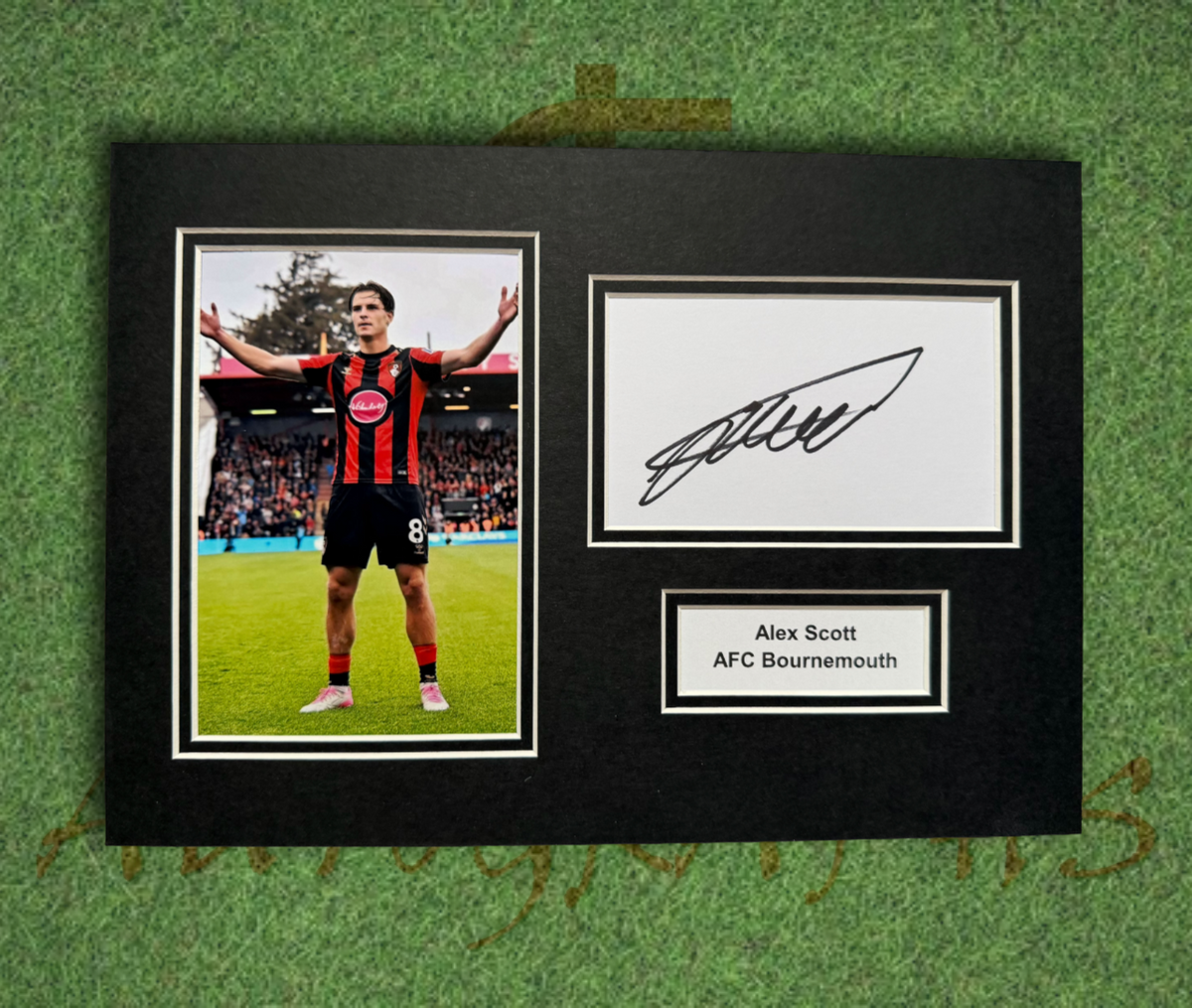Alex Scott AFC Bournemouth Signed Presentation Mount Display-ZCL Autographs