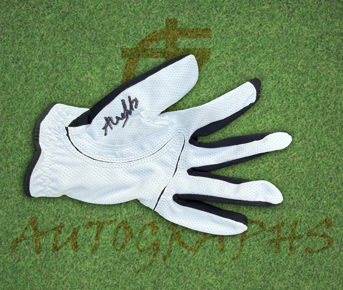 Alex Fitzpatrick Signed Golf Glove 3