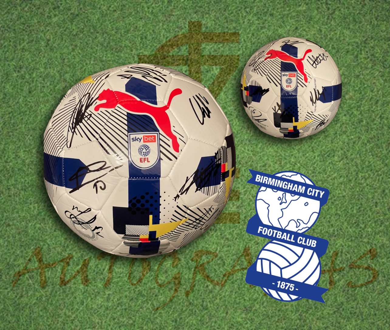 Birmingham City Football Club Signed 2025/26 Replica EFL Football