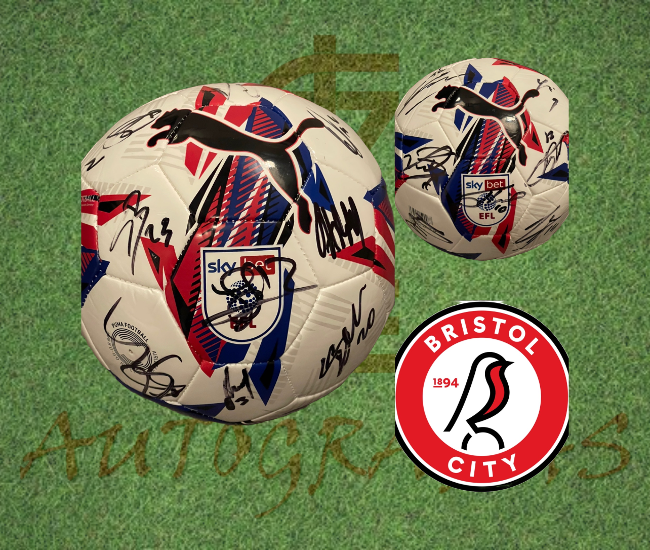 Bristol City Signed Replica EFL Football-ZCL Autographs-ZCL Autographs