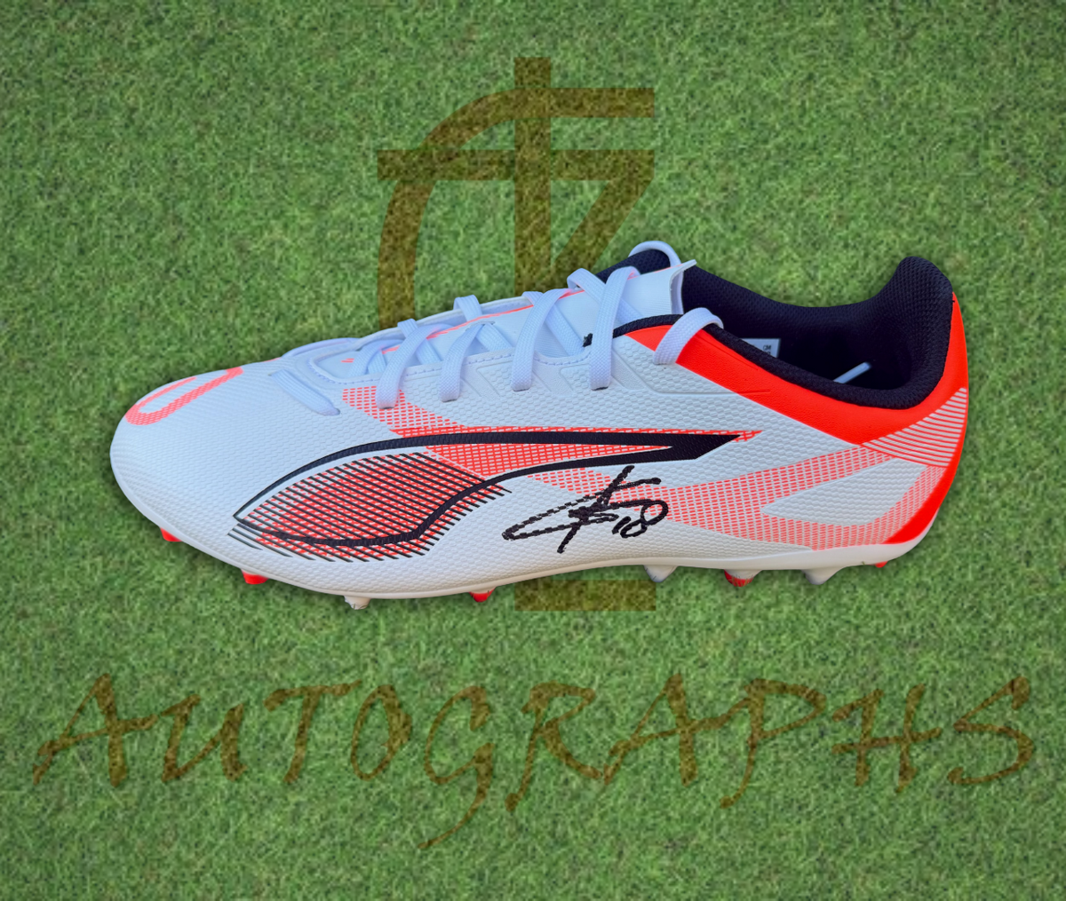 Cody Gakpo Signed Puma Football Boot