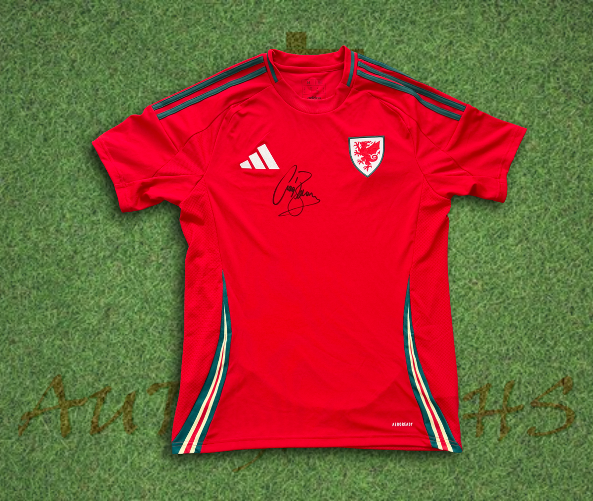 Craig Bellamy Wales Signed 2024/25 Football Home Shirt