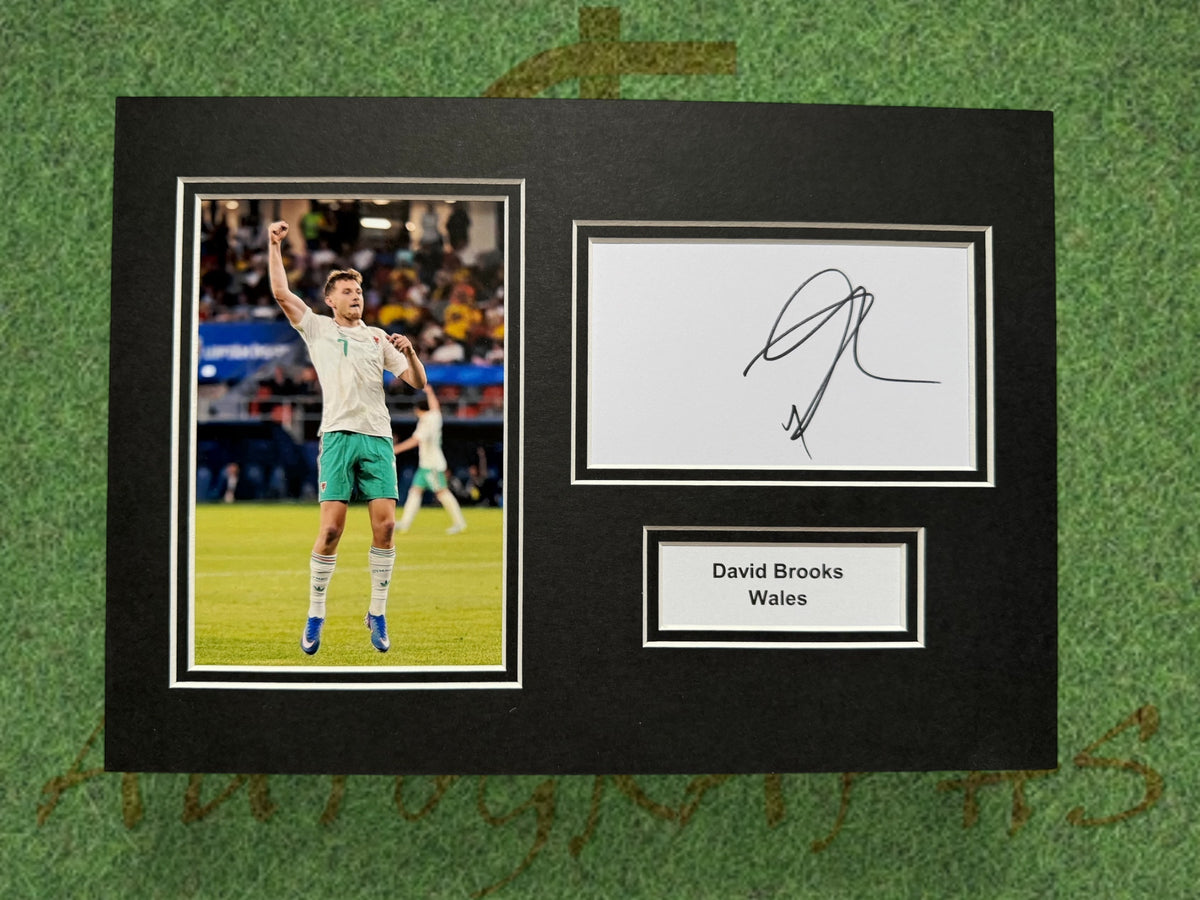 David Brooks Wales Signed Presentation Mount Display-ZCL Autographs