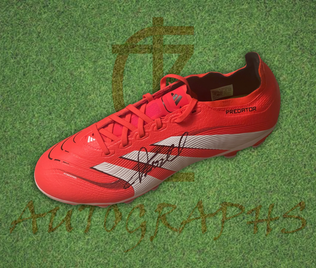 Finn Russell Signed Adidas Predator Boot L