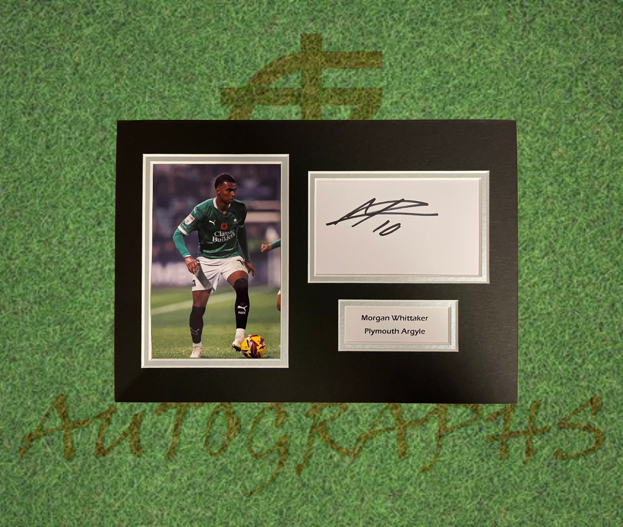 Morgan Whittaker Plymouth Argyle Signed Presentation Mount Display