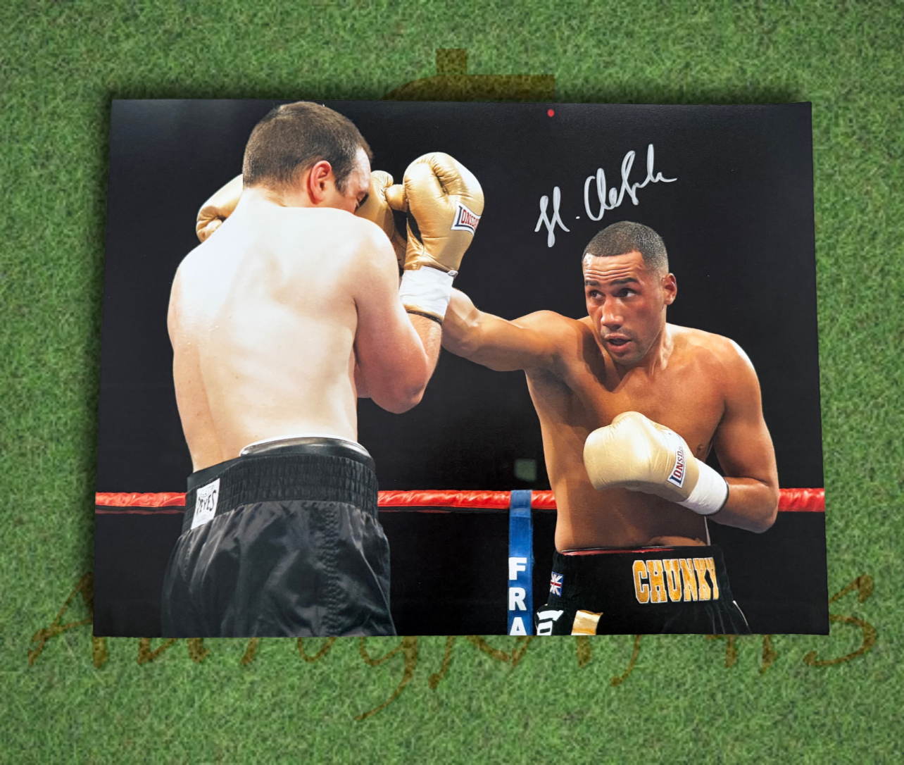 James DeGale Signed Boxing 16x12 Photo