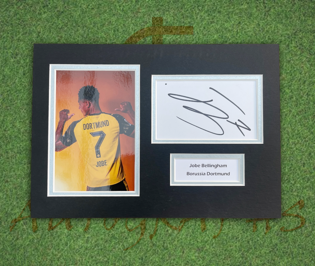 Jobe Bellingham Borussia Dortmund Football Signed Presentation Mount Display-Signed Presentation Display-ZCL Autographs-ZCL Autographs
