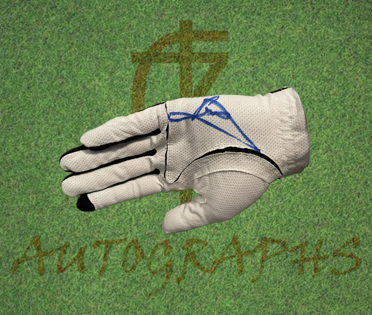 Luke Donald Signed Golf Glove-ZCL Autographs-ZCL Autographs