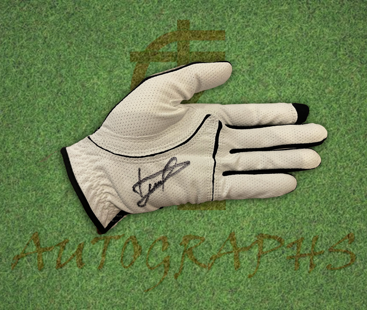Luke Donald Signed Golf Glove 4