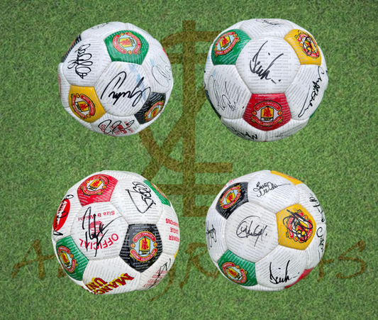 Manchester United Football Club Signed 1993/94 Premier League Winners Football