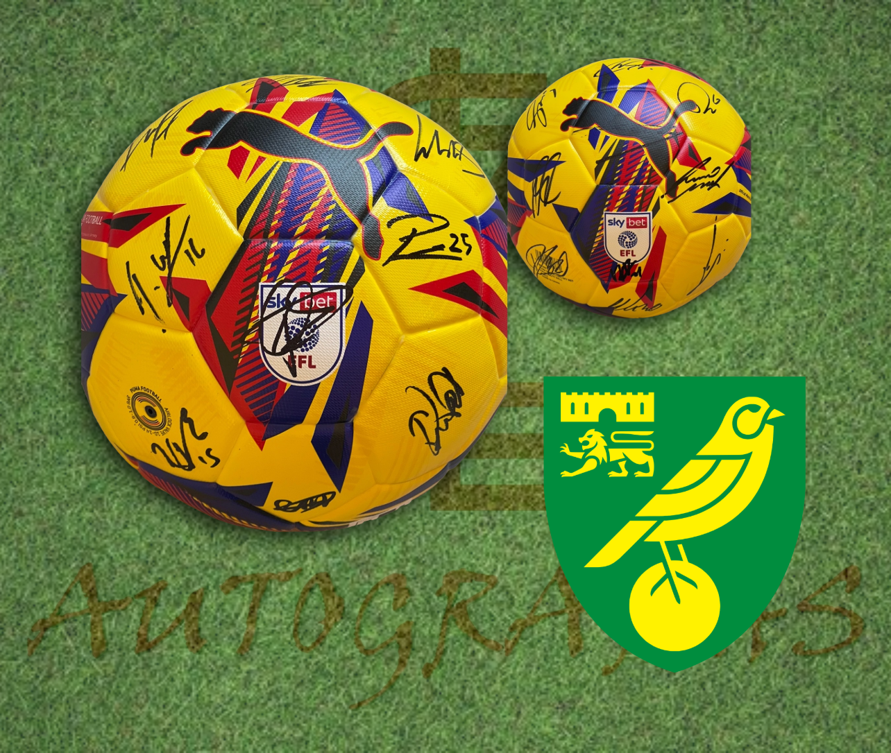 Norwich City Football Club 2025/26 Signed EFL Puma Football