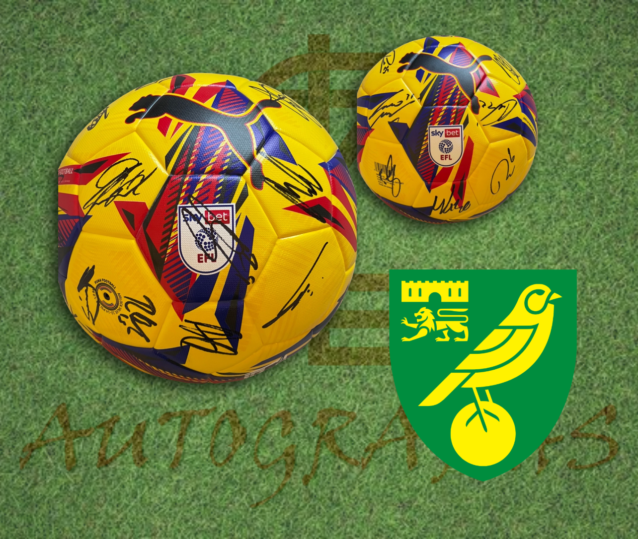Norwich City Football Club 2025/26 Signed EFL Puma Football 1