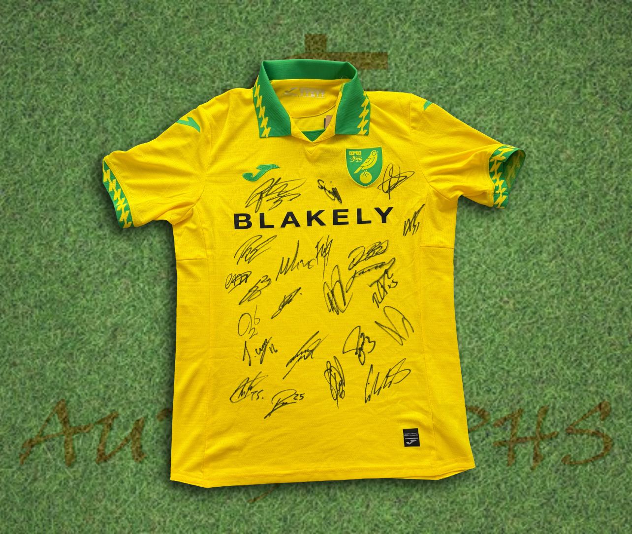 Norwich City Football Club 2025/26 Signed Home Shirt
