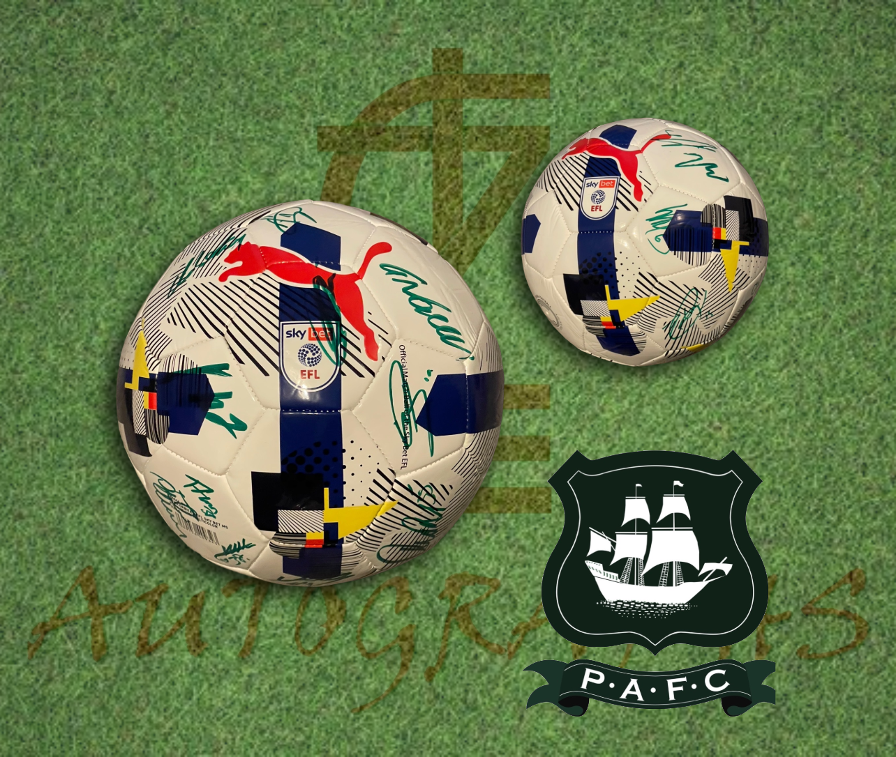 Plymouth Argyle Signed Replica EFL Football 2025/26 2