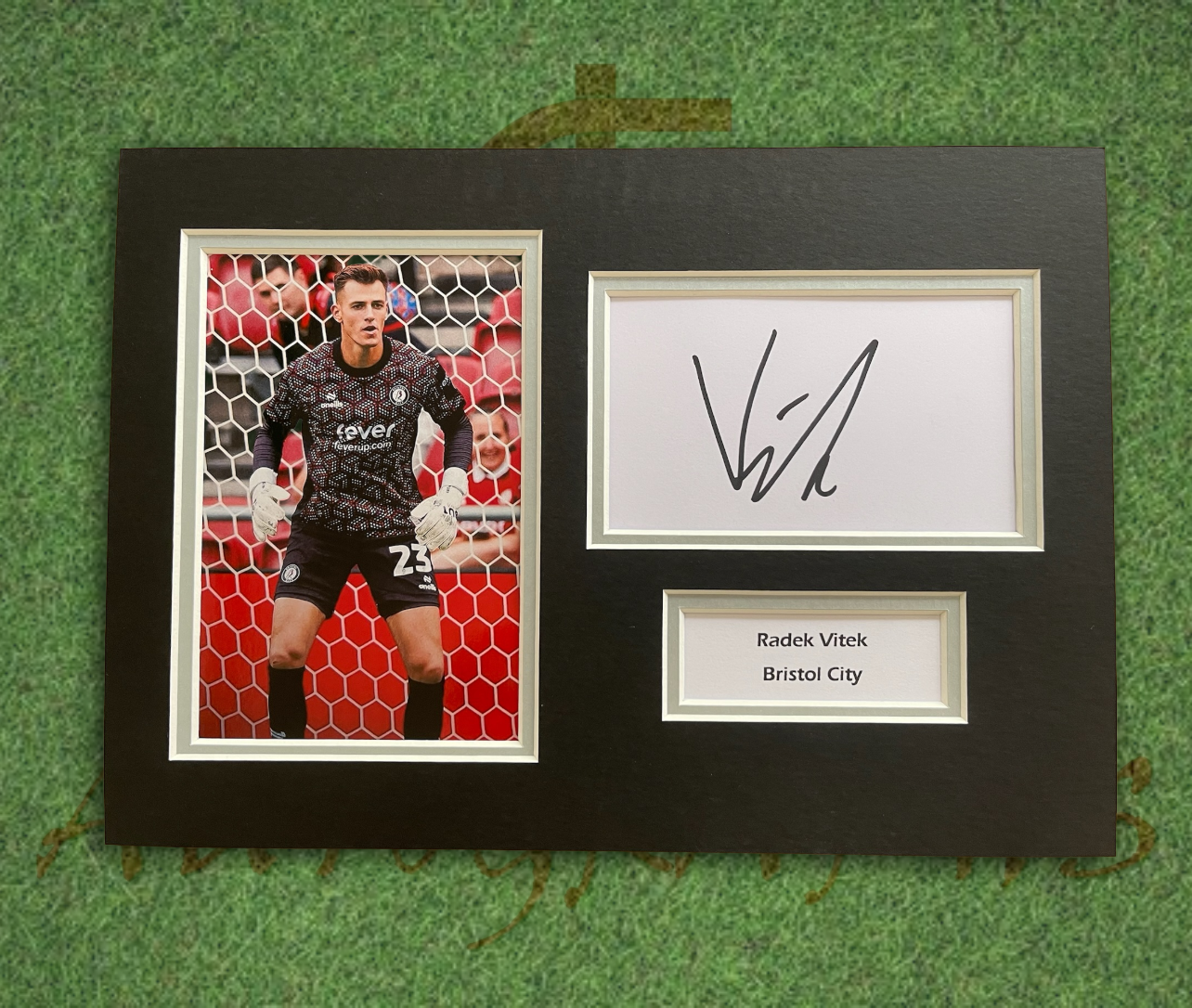Radek Vitek Bristol City Signed Presentation Mount Display-Signed Presentation Display-ZCL Autographs-ZCL Autographs
