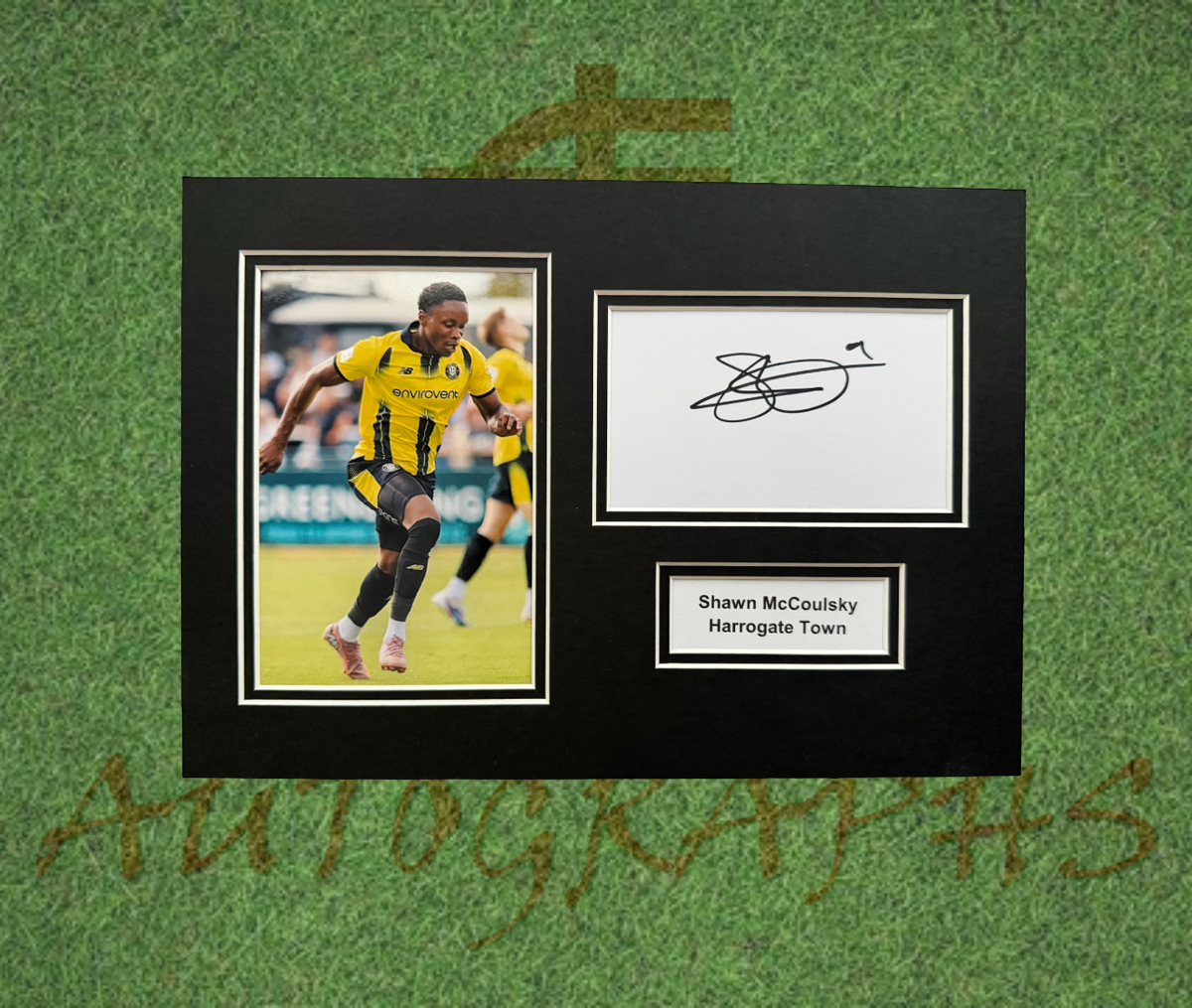 Shawn McCoulsky Harrogate Town Signed Presentation Mount Display-ZCL Autographs