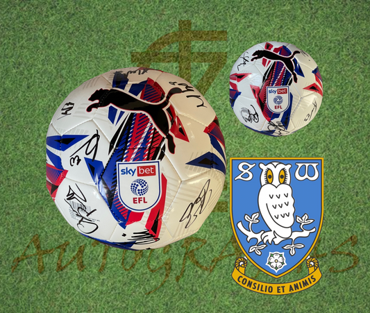 Sheffield Wednesday Signed Replica EFL Football-ZCL Autographs-ZCL Autographs