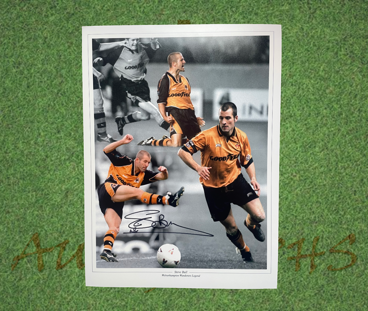 Steve Bull Signed 16x12 Wolverhampton Wanderers photo-Signed Photo-ZCL Autographs-ZCL Autographs