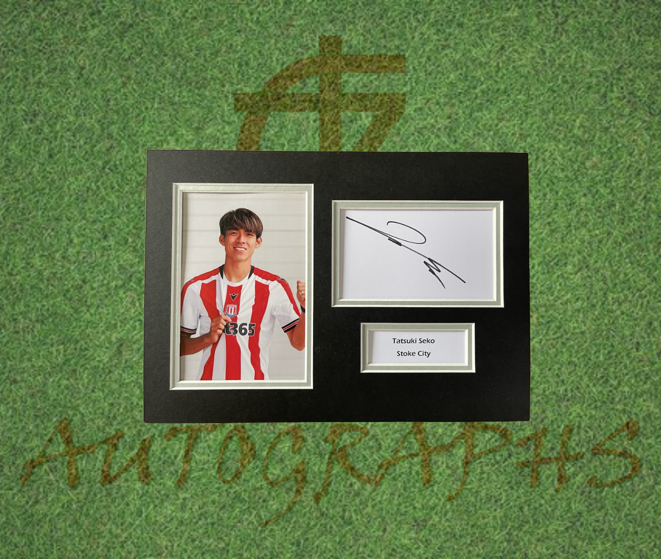 Tatsuki Seko 瀬古 樹 Stoke City Football Club Signed Presentation Mount Display-Signed Presentation Display-ZCL Autographs-ZCL Autographs