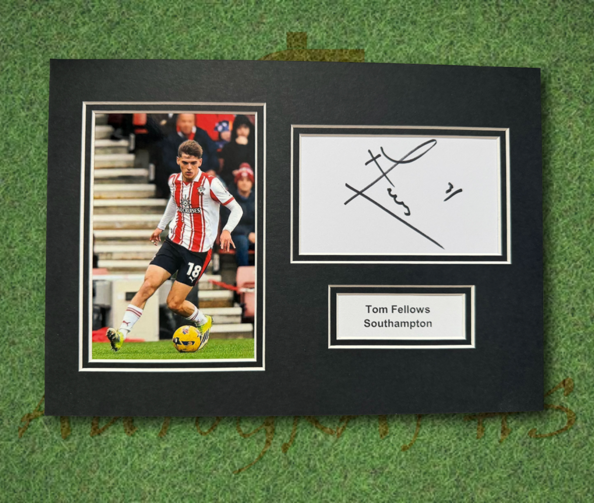 Tom Fellows Southampton Signed Presentation Mount Display-ZCL Autographs